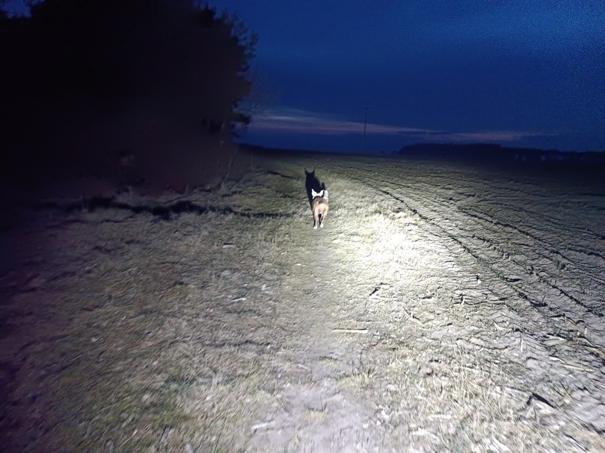 65f834ca-1ba9-4e22-b499-4a7b67b333ce