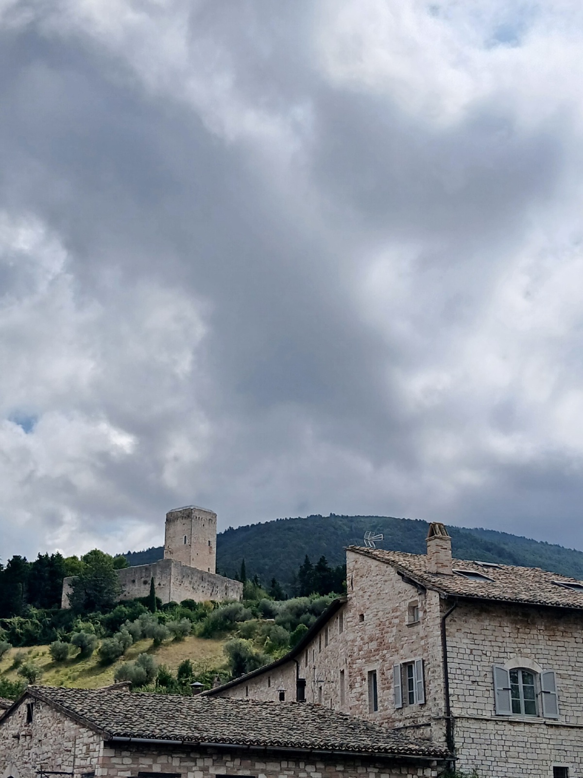 1982a8b1-72ce-4035-b15a-bbbc3934a4bf