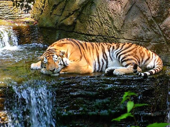 56c55d84-6021-455f-be59-3596c137f15e