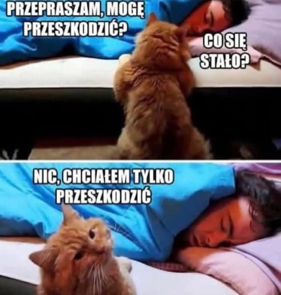 b8390698-95de-45ab-a499-88c1036dd7e7