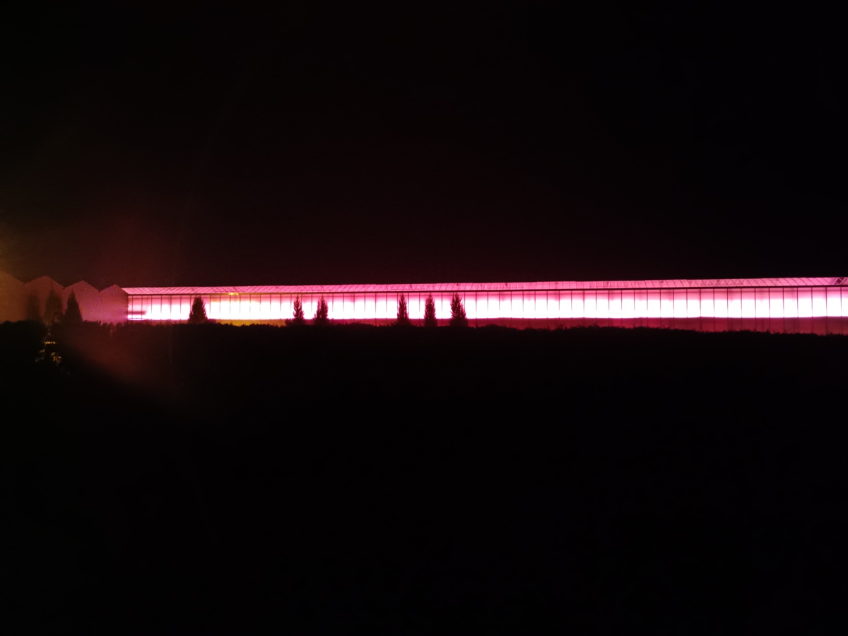 89634492-7e07-4a50-8ac5-52c3e1fb00e9