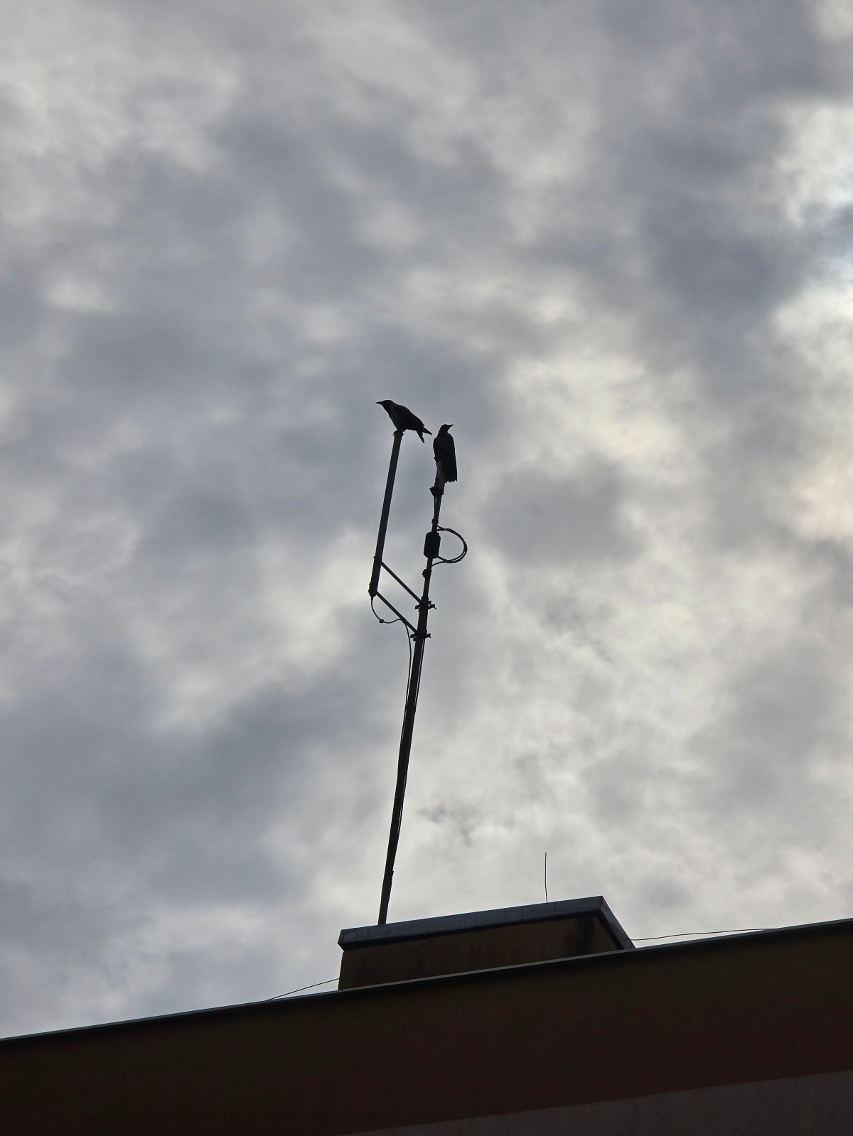 687988e7-0773-4358-92b4-383969388f7c