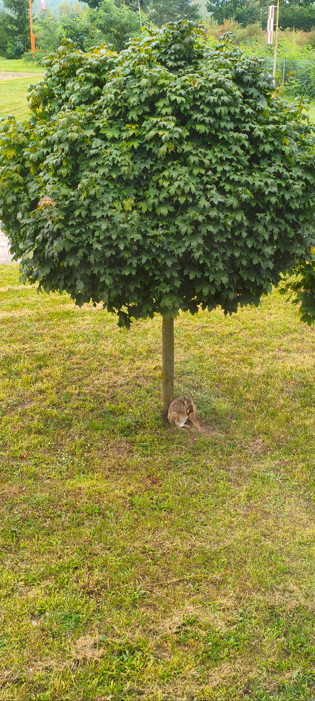 c17d0476-179f-4cf4-bd57-b11b0190b7d4