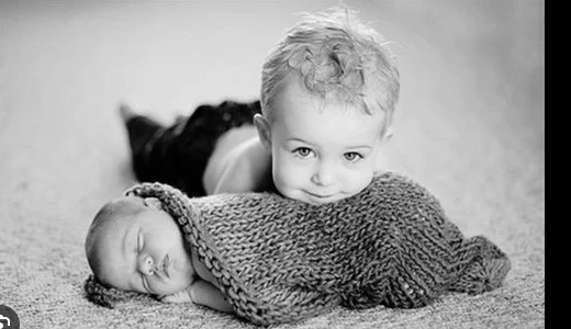 7997db0e-7796-4cf4-84bb-0050bd4daac5