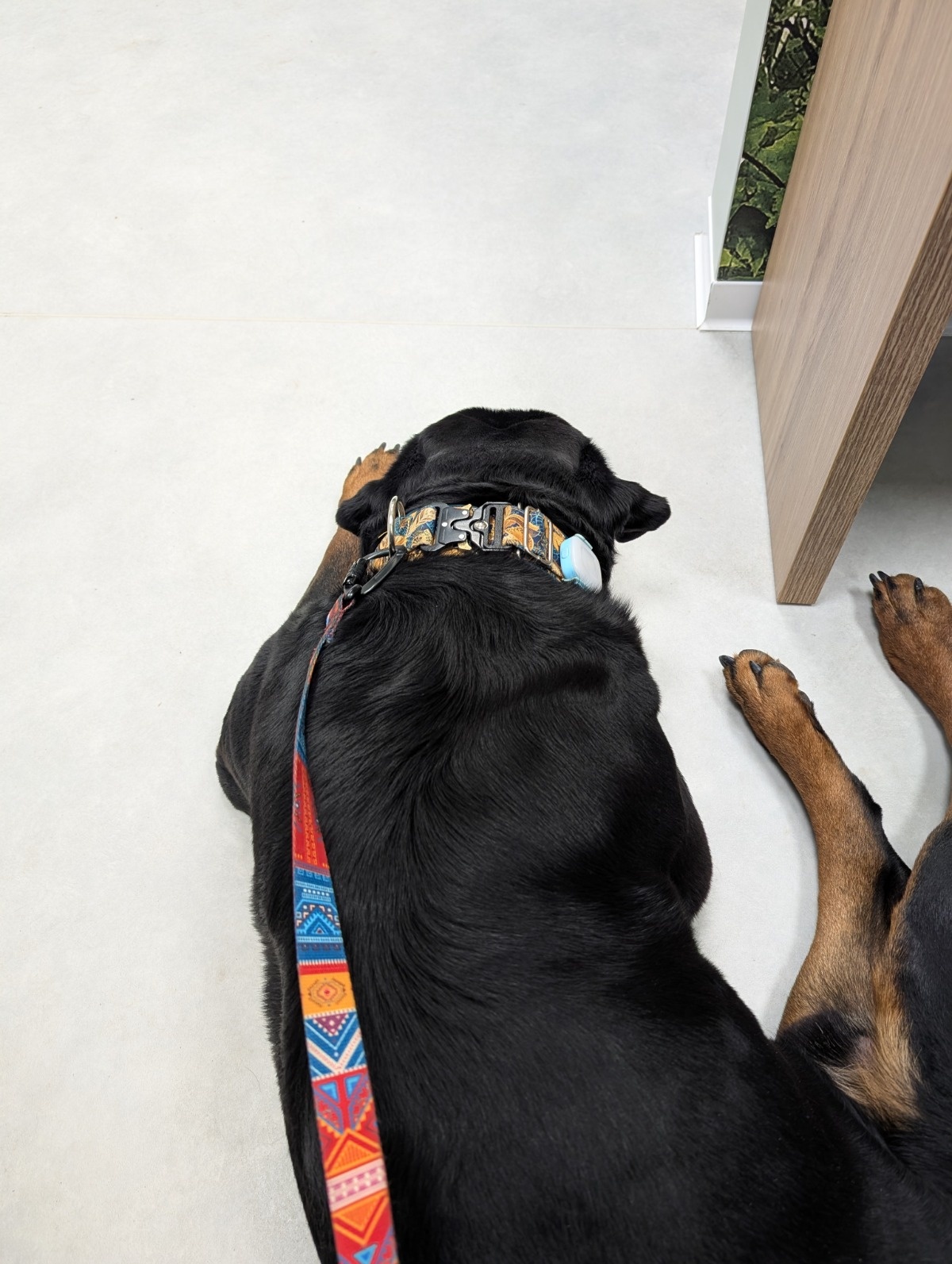 d5fa295e-0581-4a56-826a-14cf8bb2fb45