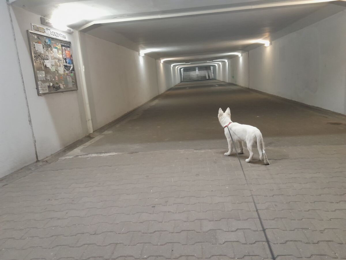 73a27354-0786-46ab-bf9e-72affce67781