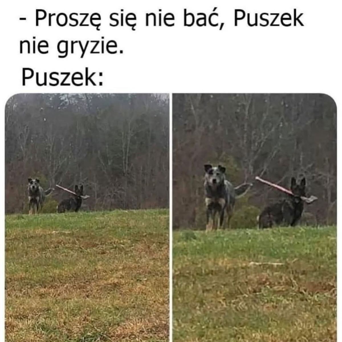 02c800f4-0ef2-4bd6-8838-c44d9f9c9d3c