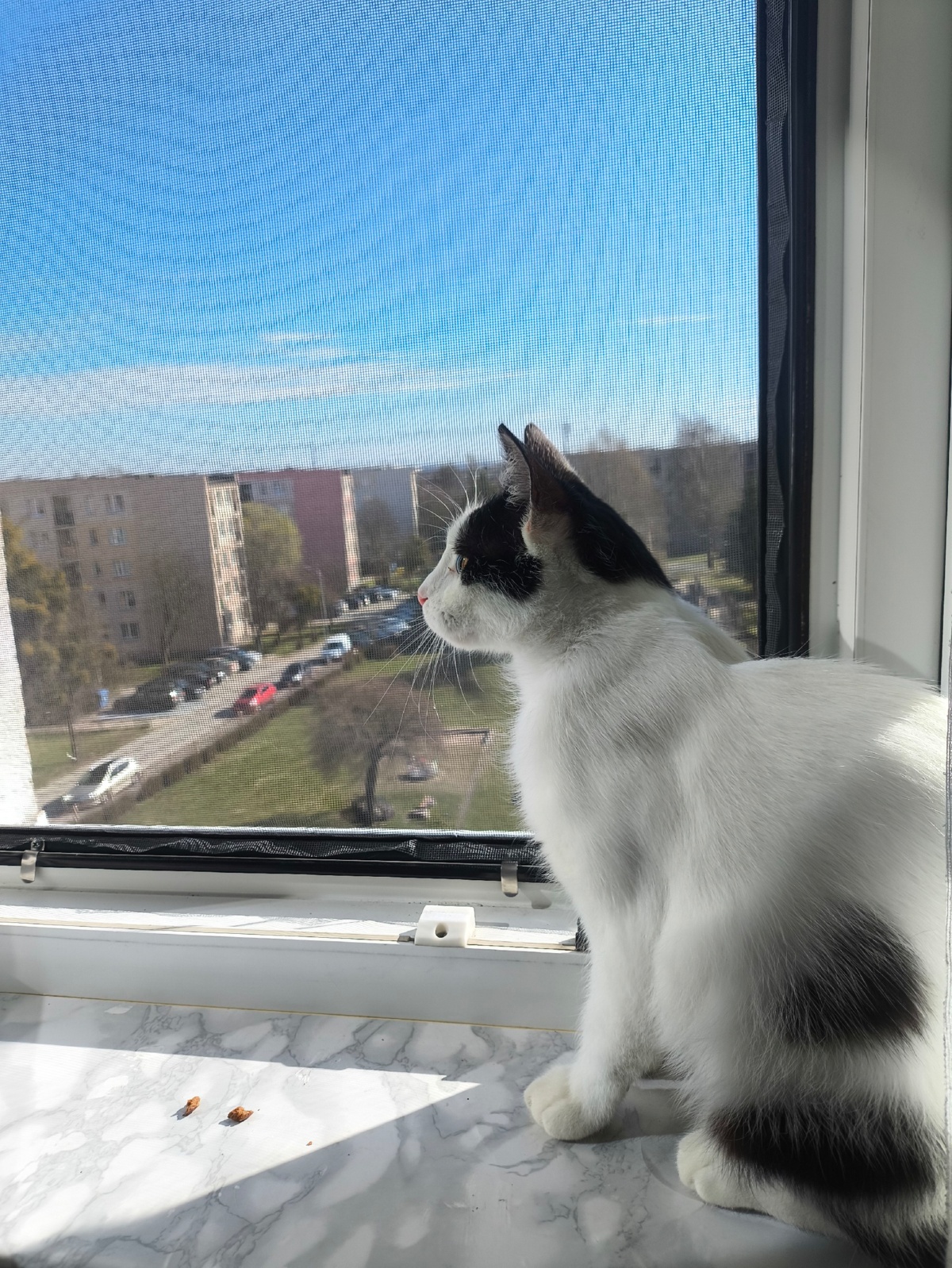 9c89a61c-6c17-454f-85df-32a80027e77a