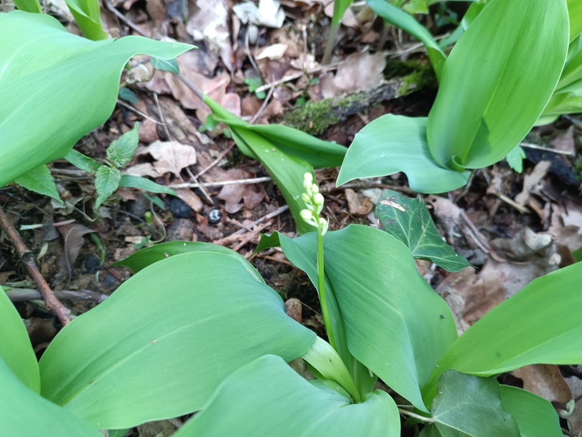 d0f58bbf-2e1d-4167-a825-c165a185d216