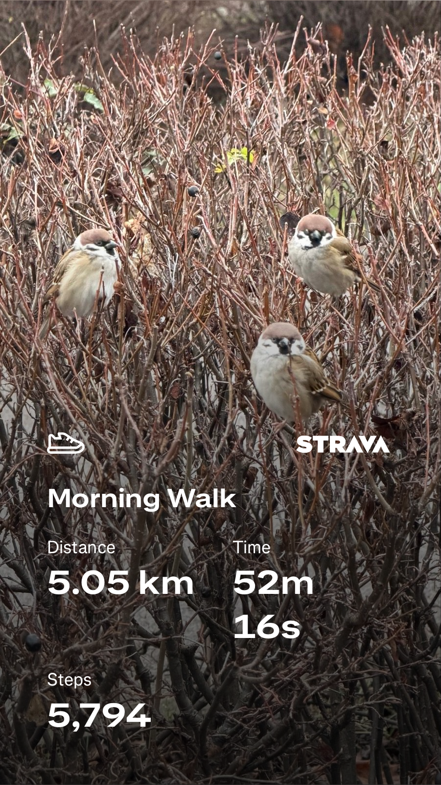 7607698f-9610-423e-93a5-f708480d6247