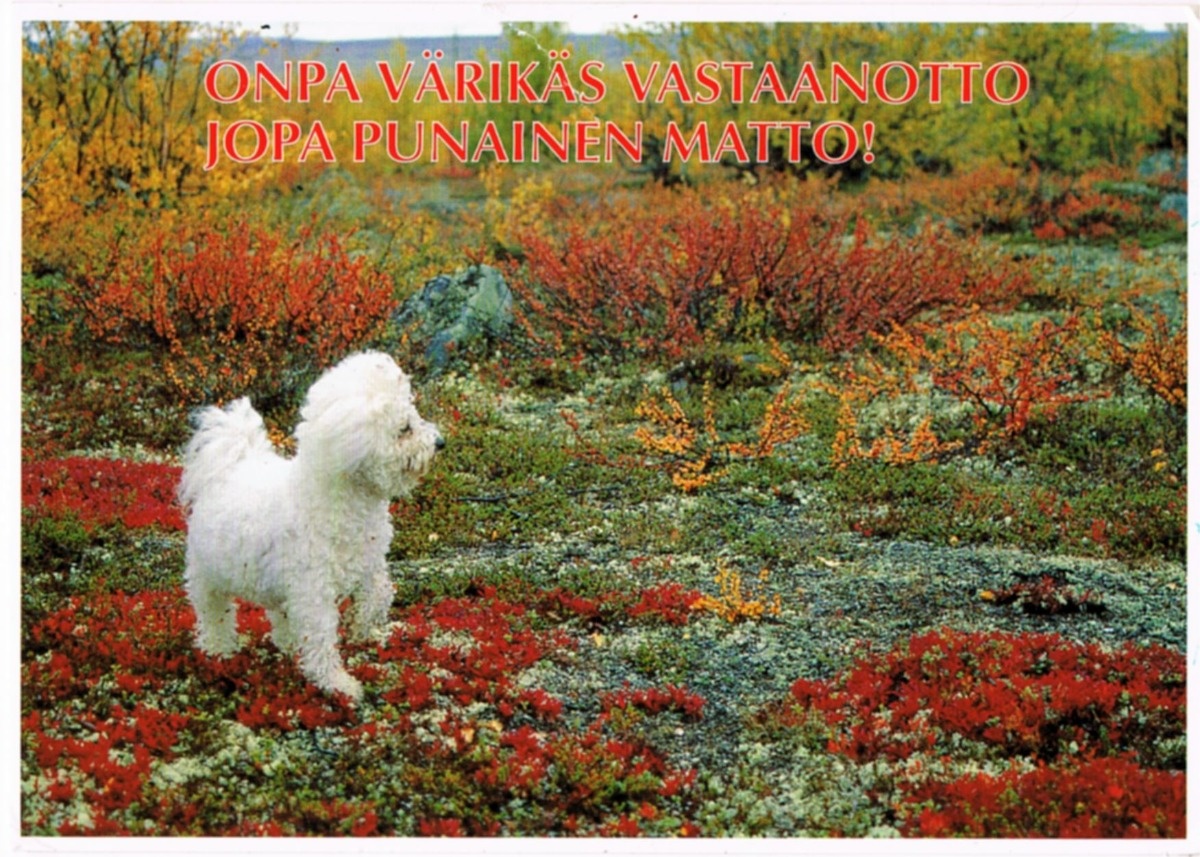 c476fd99-5c77-48db-8134-7ea097e3b1d6