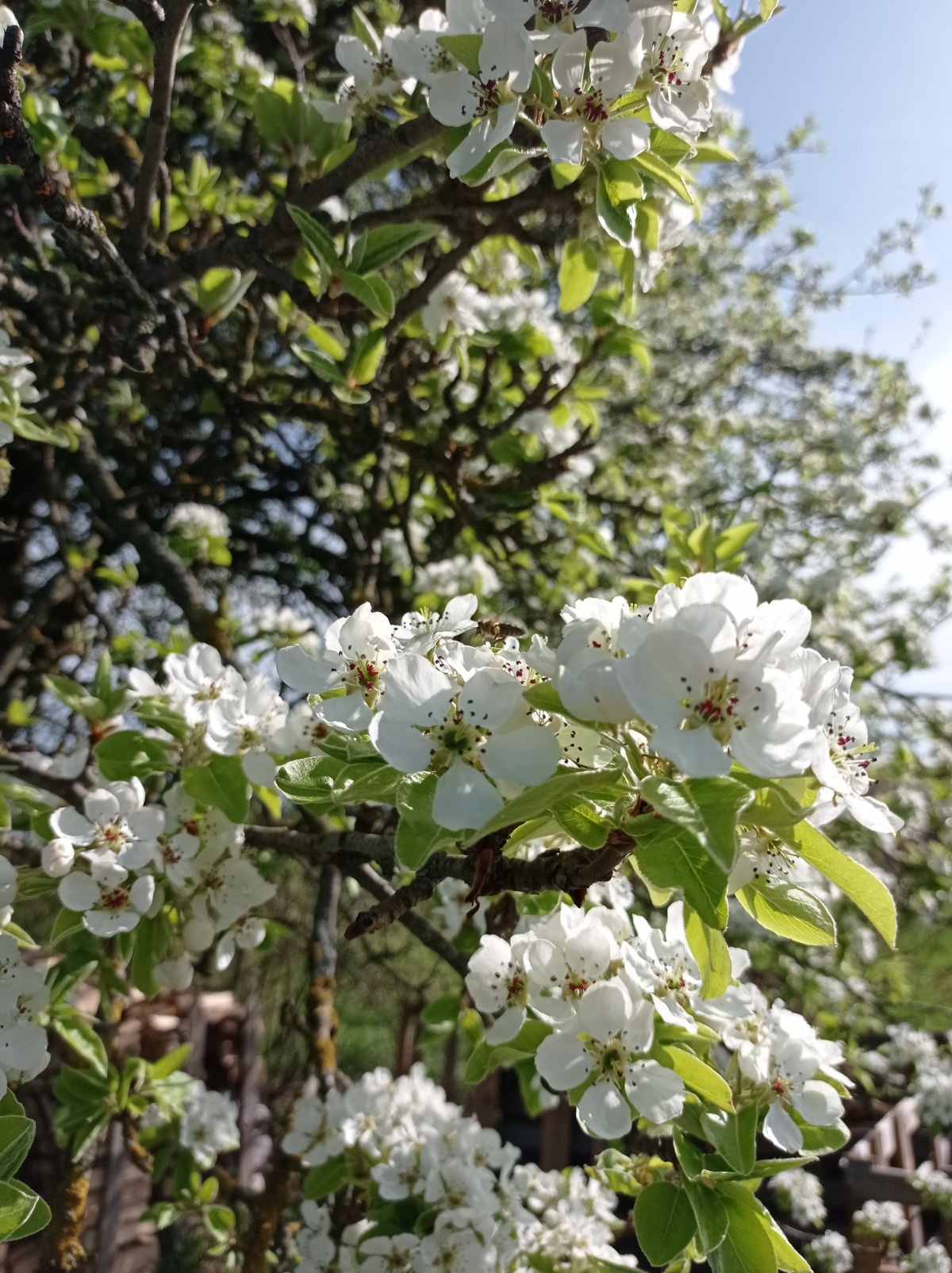 1cdd64e1-a87f-440b-b092-0e679e46c713