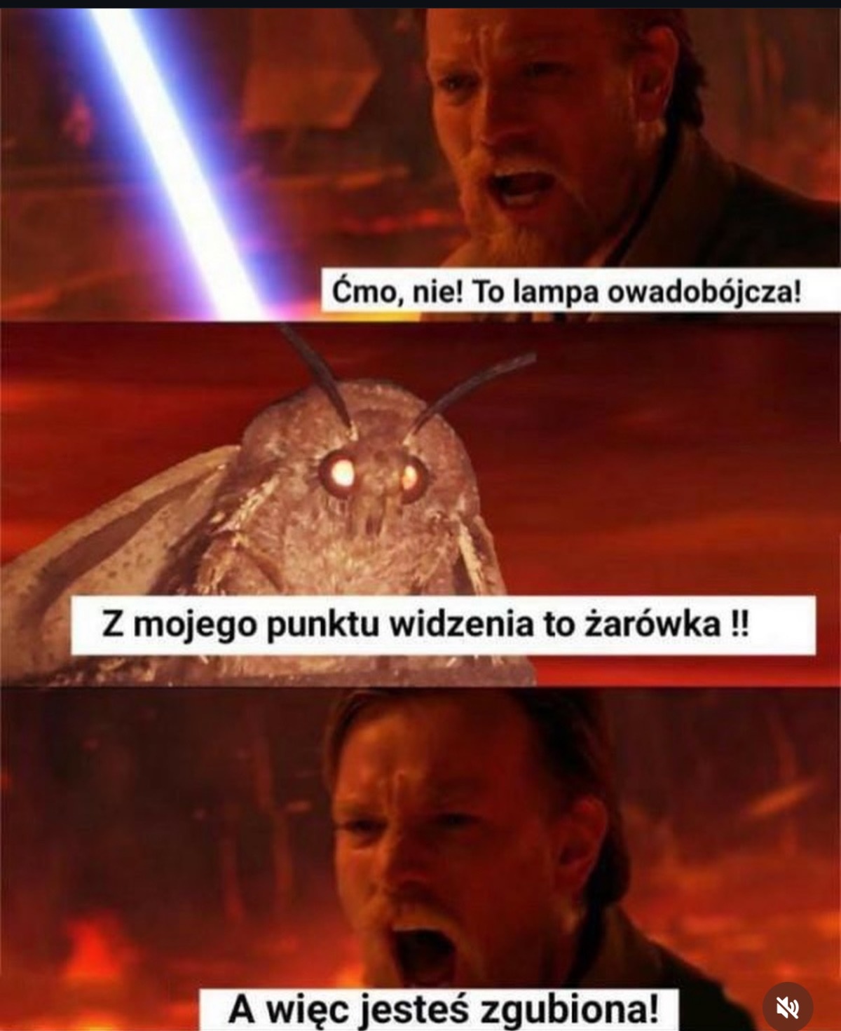 0b568ae4-914a-48f1-98d8-eec1318d880a