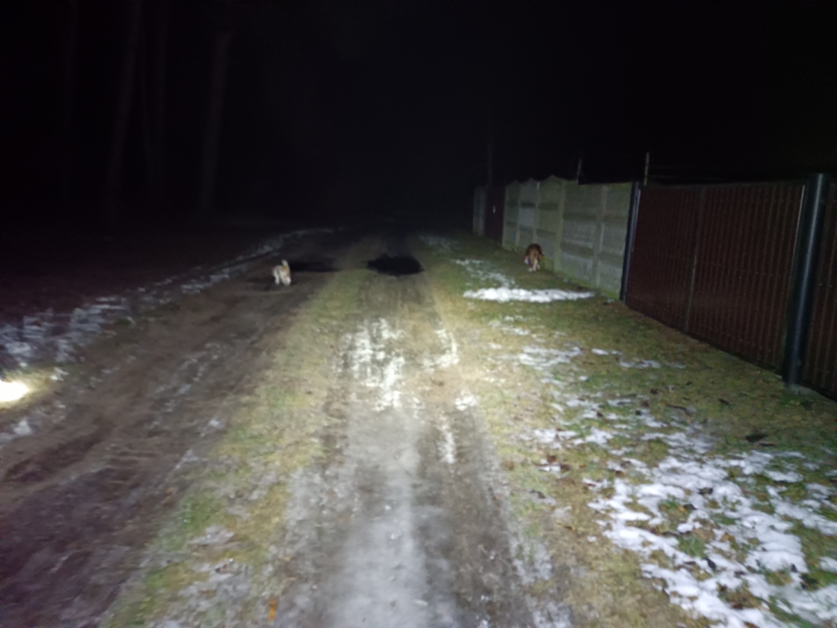 d8c7c2bb-74df-4cf6-96a0-6acd6ad08f79