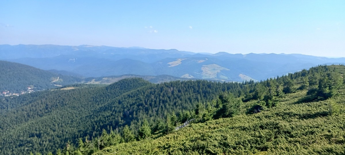 e346c7a1-d127-405d-b781-113cae644dfd