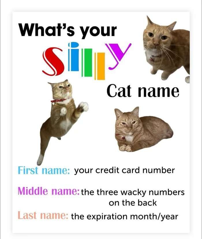 abac0ef5-c951-4add-b2dc-daf7fd859539