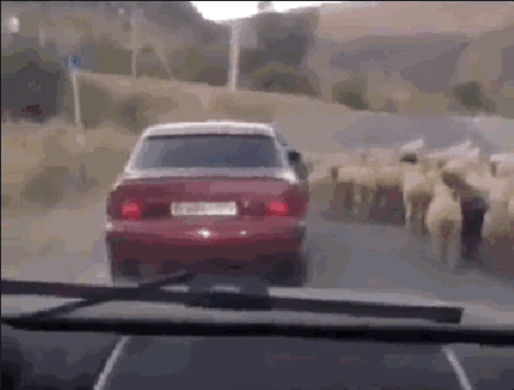 585b2524-5839-4b93-9836-031543274d2e