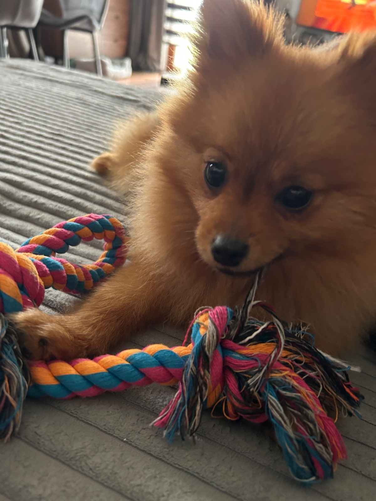 97983b58-6ae8-4104-b7ca-1312591a90ba