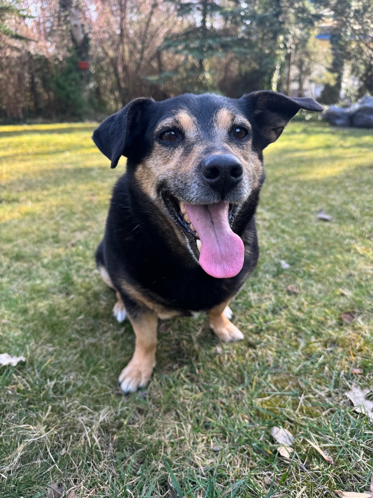 8d0b7be9-8f84-499f-8d2d-af8b34c40265