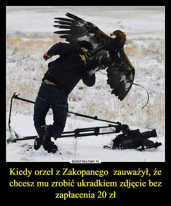 3e41080f-2738-4997-ae47-b265a4c0660f