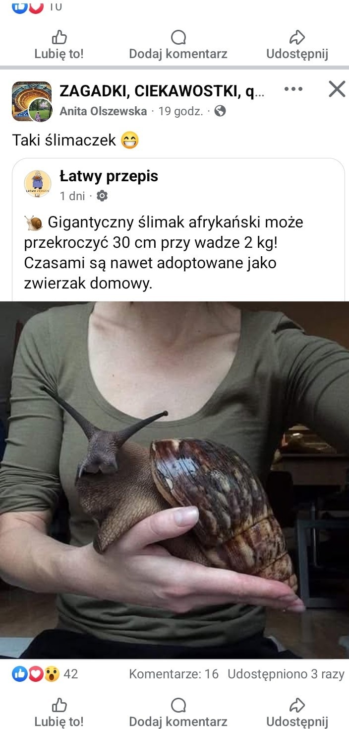 d5049d5d-72ce-49f8-bec1-f0a58c56708d