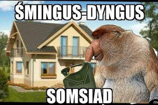 14134373-8593-4bd7-a3f5-6bd4e62e624d