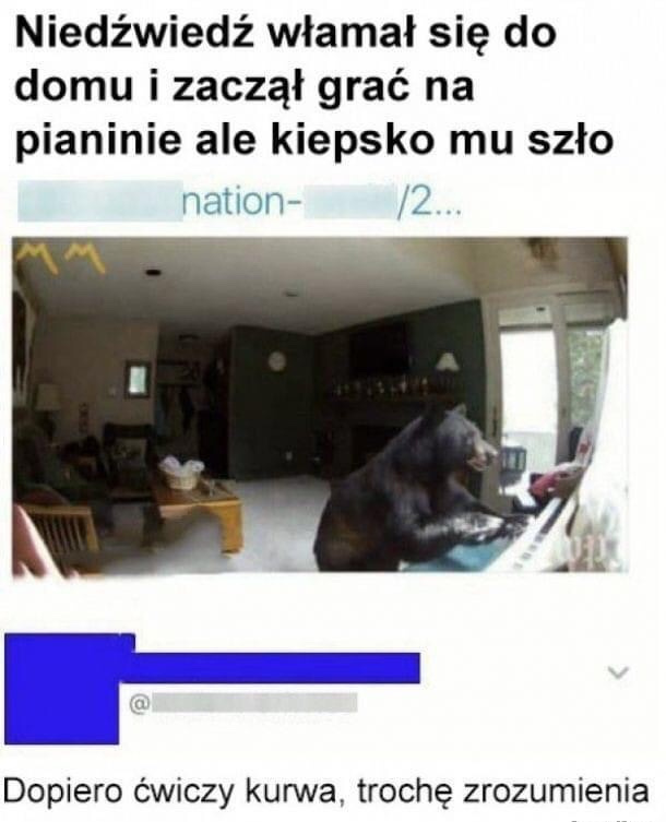 9ed36bf3-2387-4a21-a08a-90772baa956b