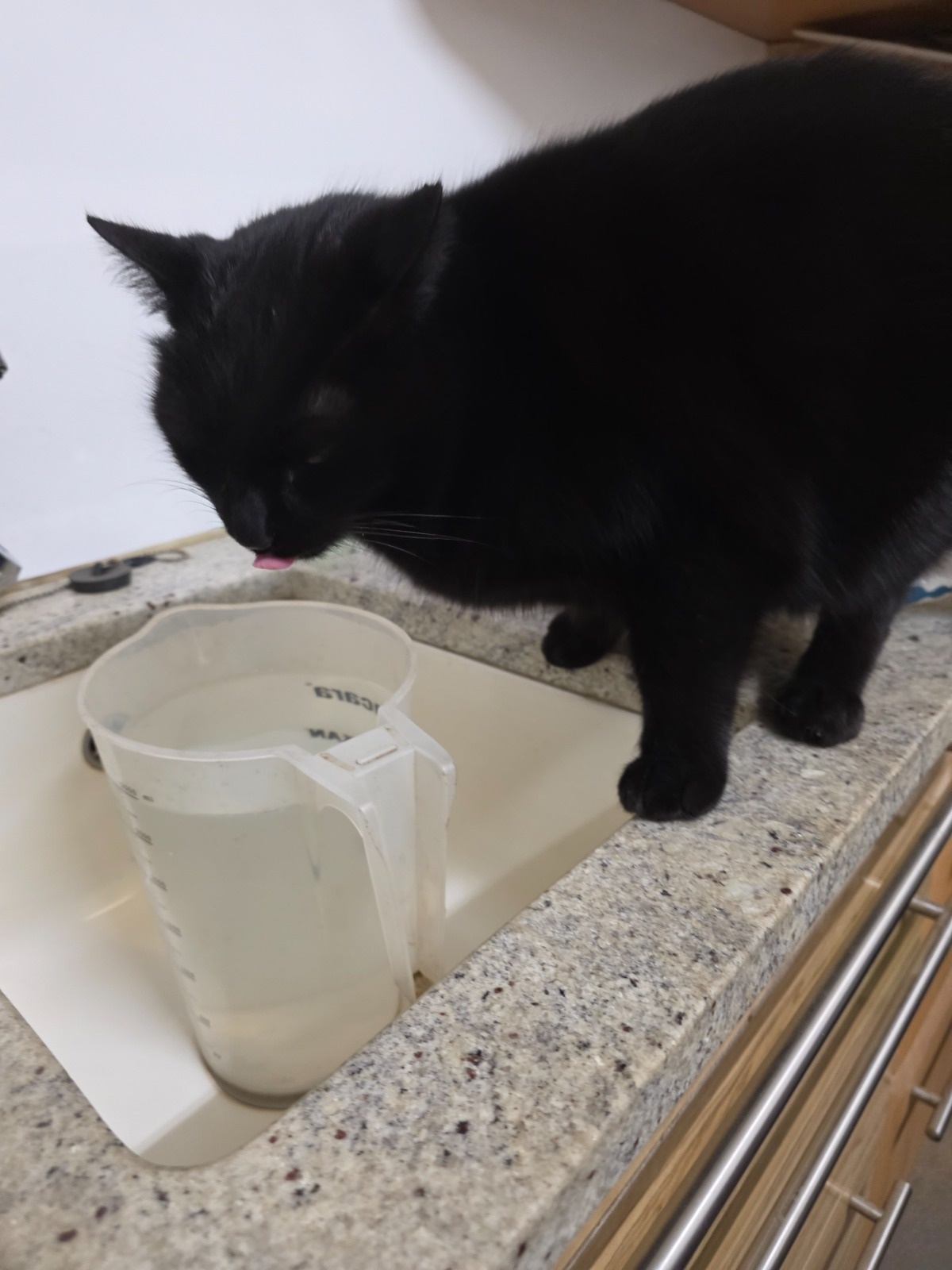 84c27b15-f83e-4b8f-8776-4d13d2df8b0f