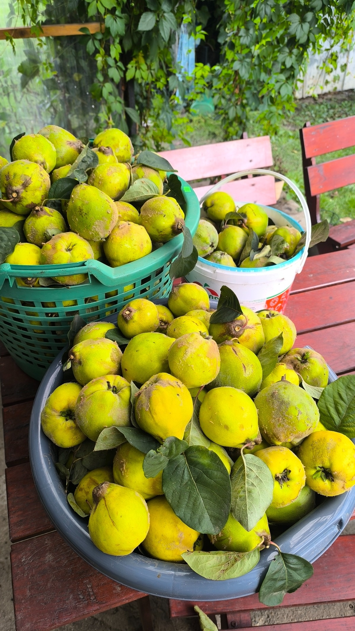 1fc0d6fd-92a6-4a3d-9e38-3de4164054cc