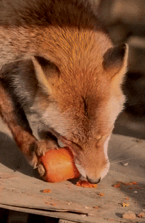 65f80942-2cee-42b7-b305-50d45887c8bc