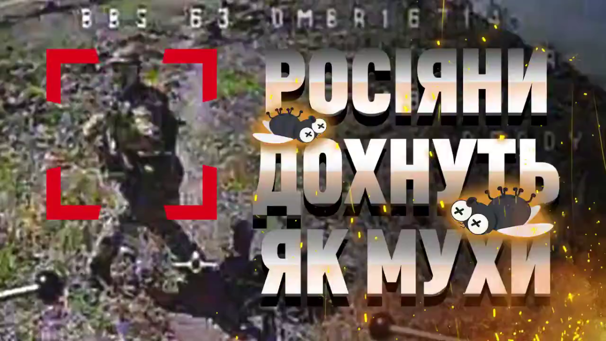 d5909c30-e802-4084-b899-e92b7403cc1f