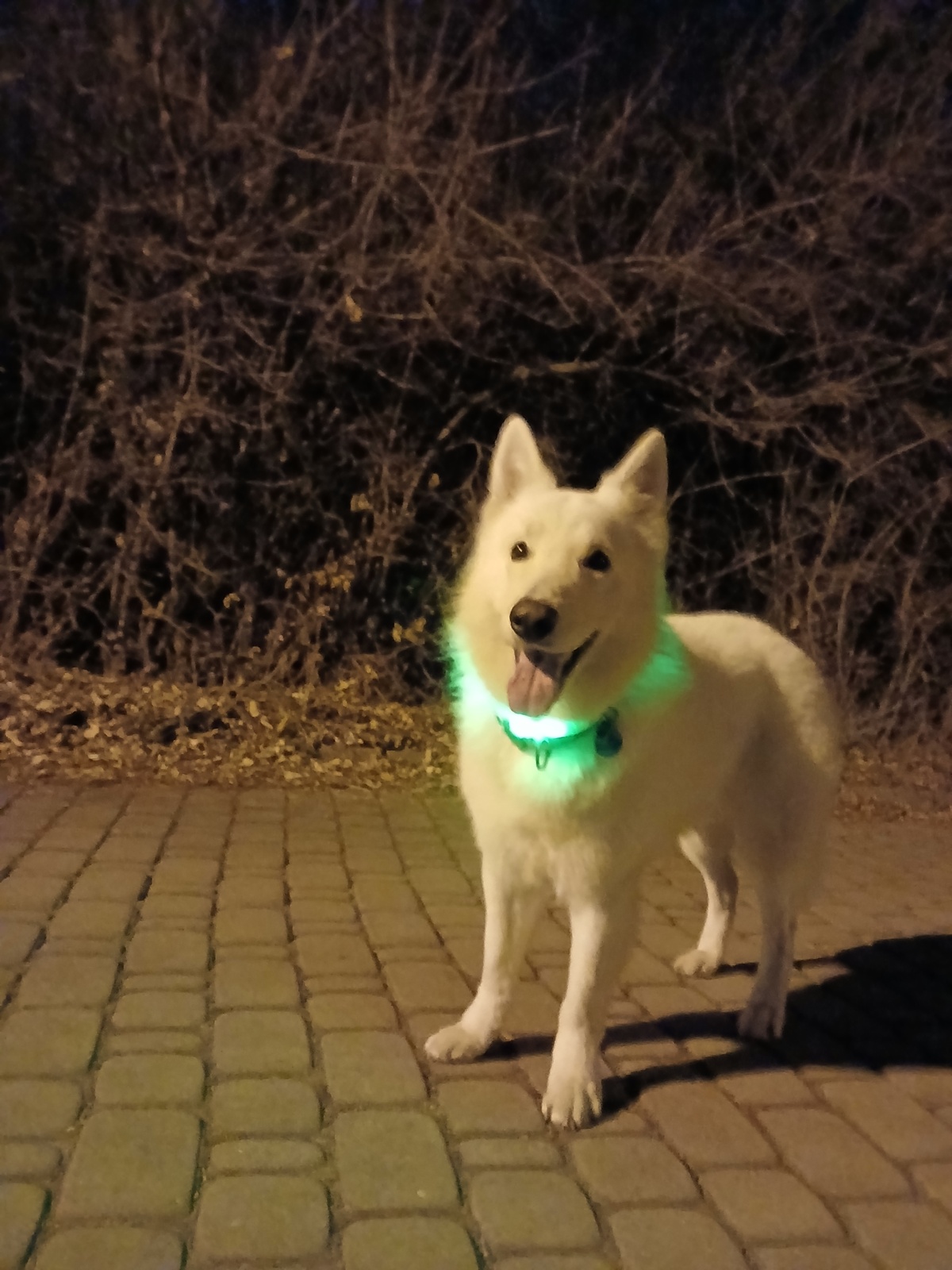 11b97b11-7985-4f33-9b77-7f2c911d4c90