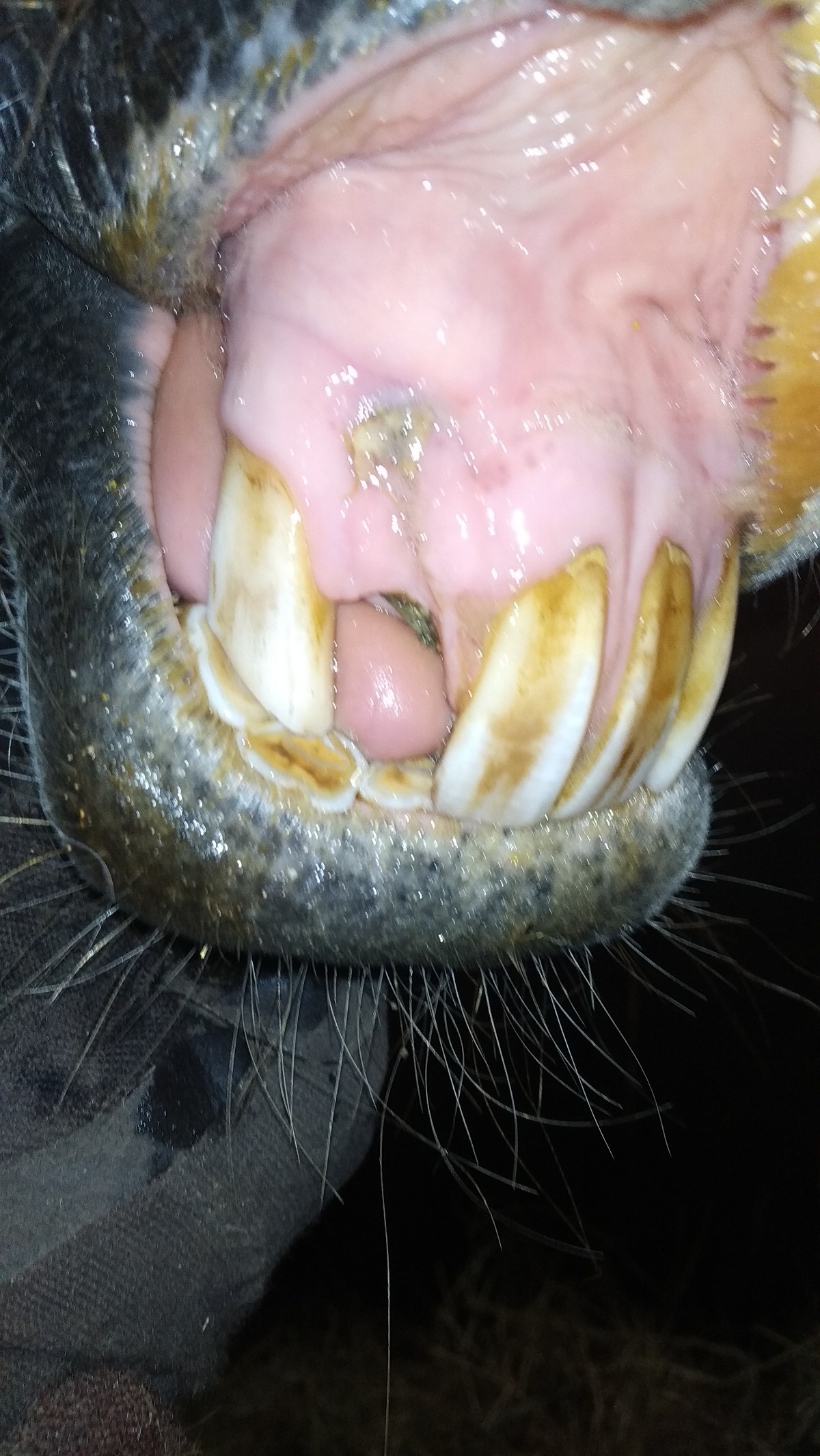 dd9e1be8-f32f-489d-98e0-10648323aede