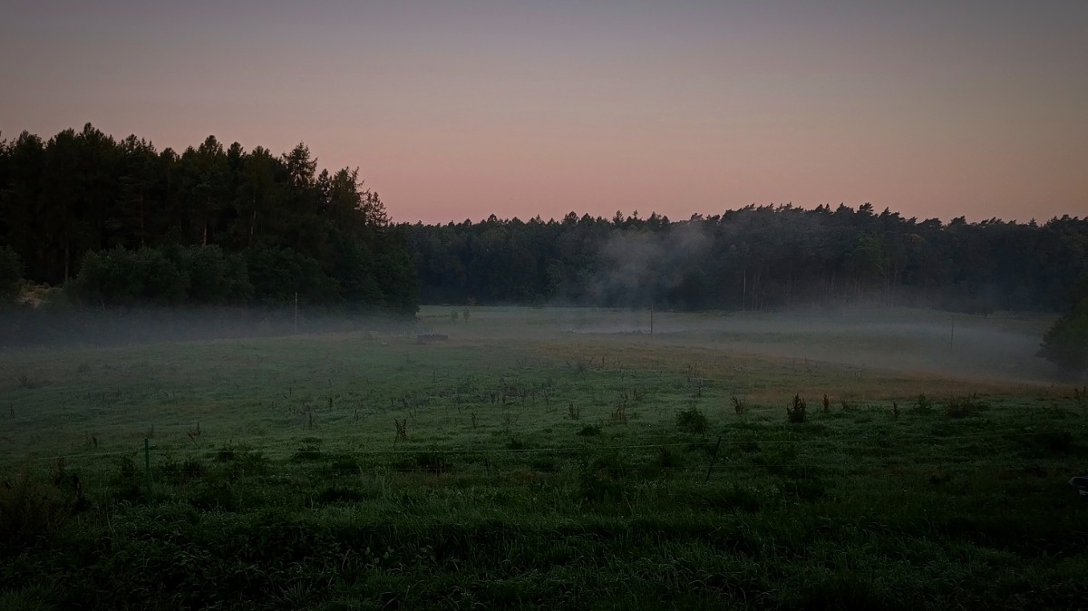 da350191-f78d-4b27-bb9c-a0be1b53e28f