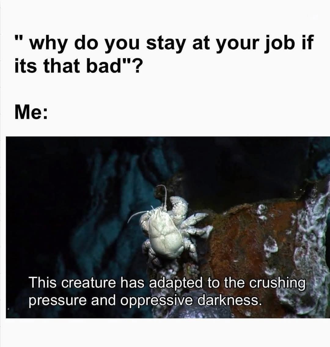 0b02b59e-be2a-4a74-8c3c-aa800f269c74