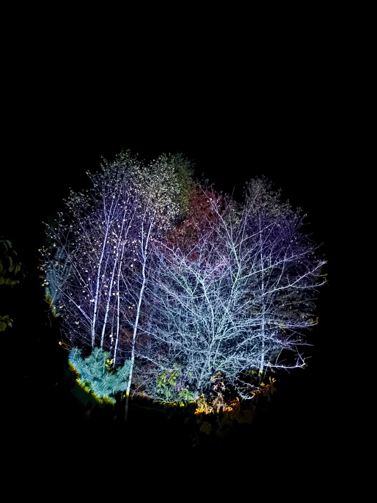 16047e21-96b0-439e-b2de-4667d9a52a92