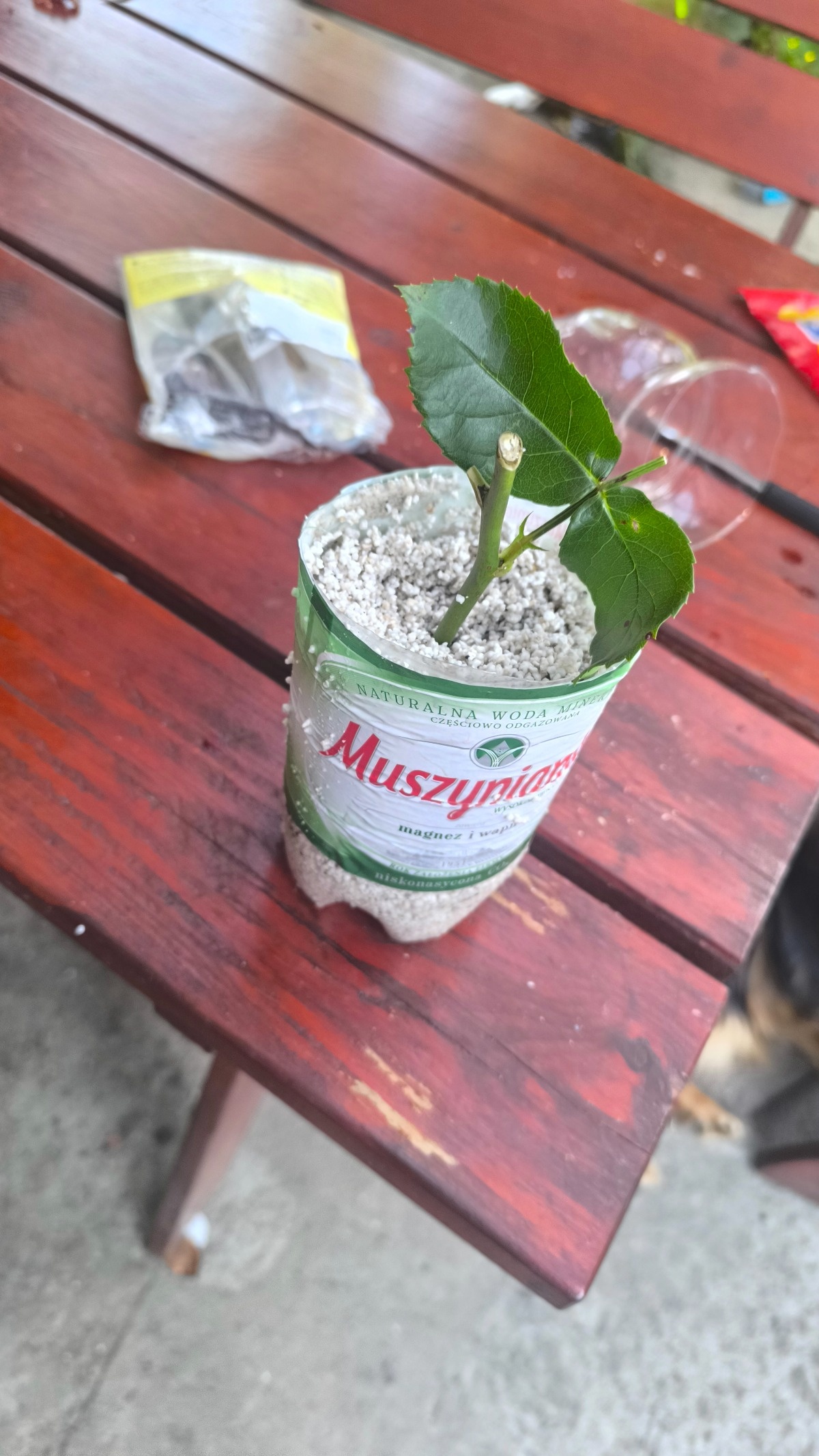 324c0ceb-15a9-4a8a-9d58-81d90d118883