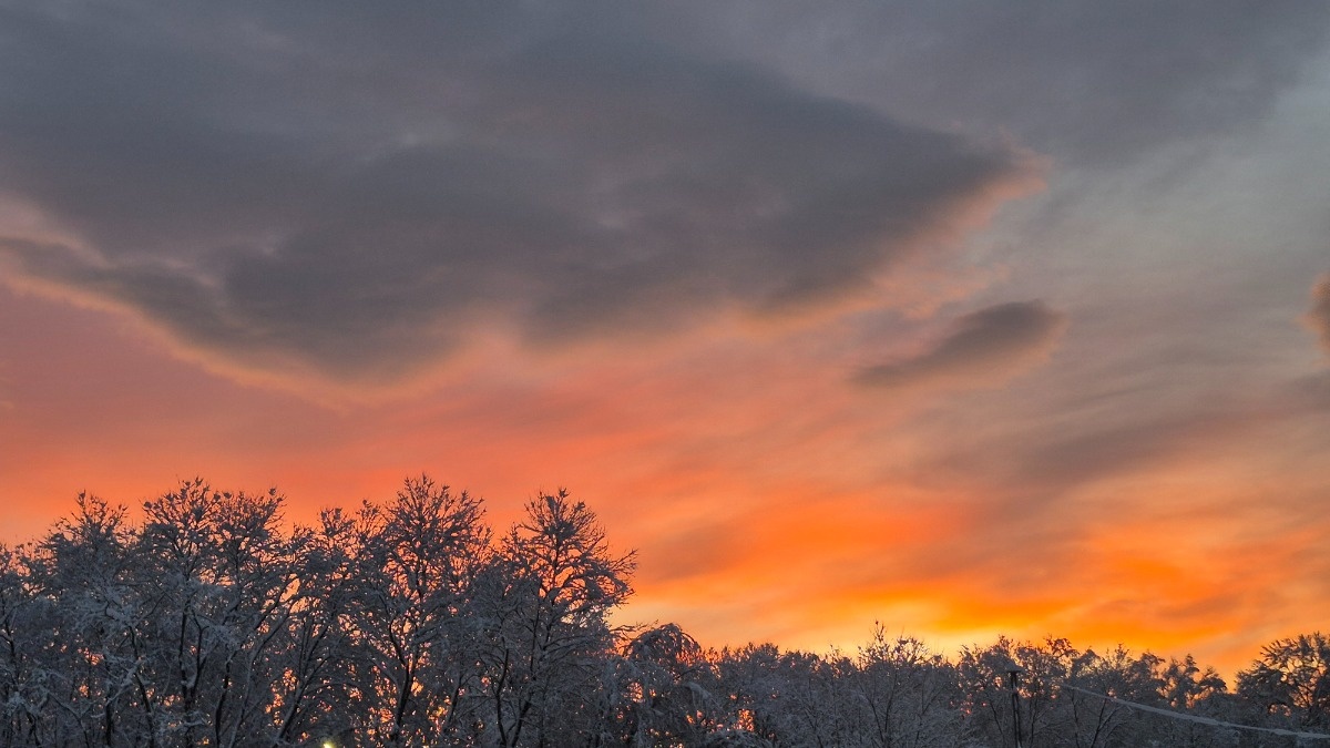 45ba7f75-7ad6-458f-8258-755748f42625