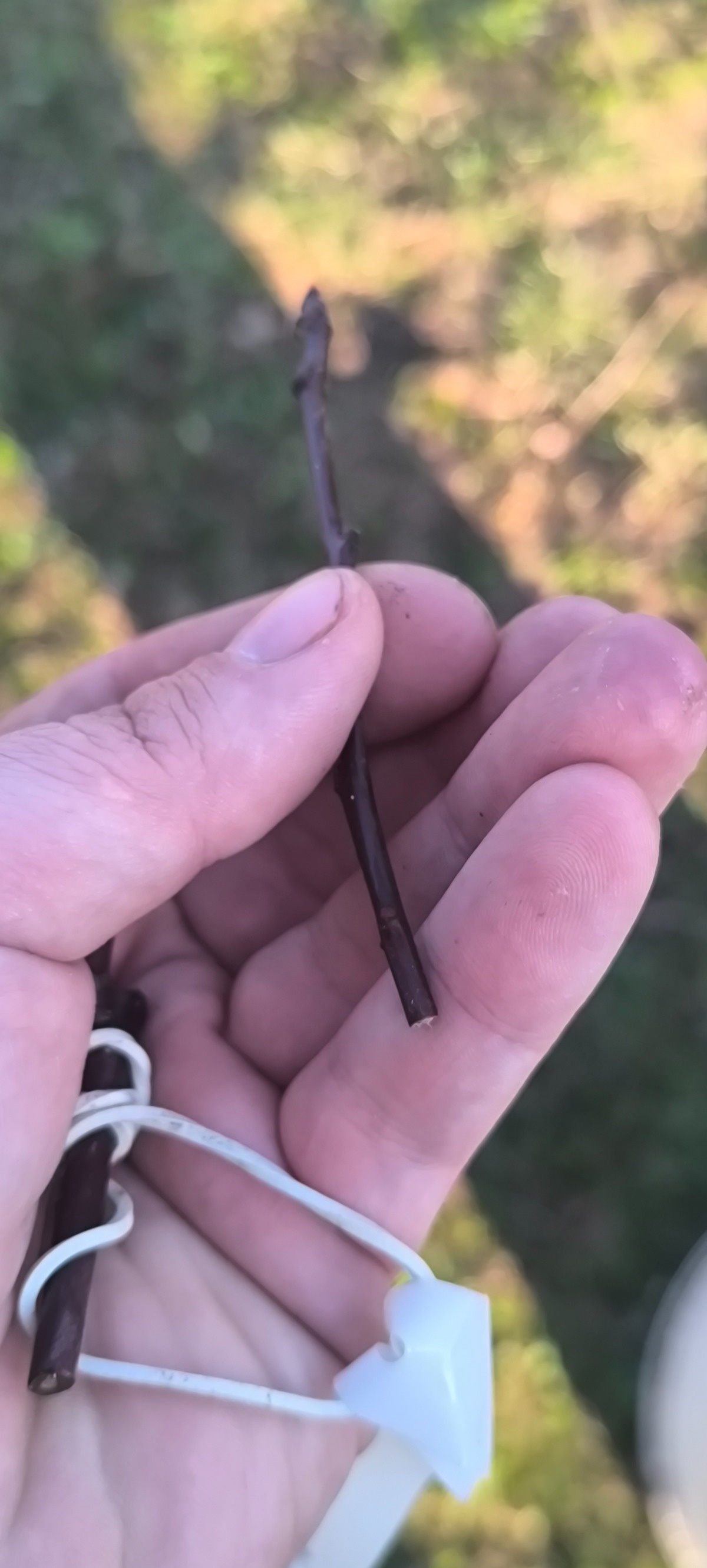 01805fb4-8e9f-4847-979b-972ce7c3e0ac