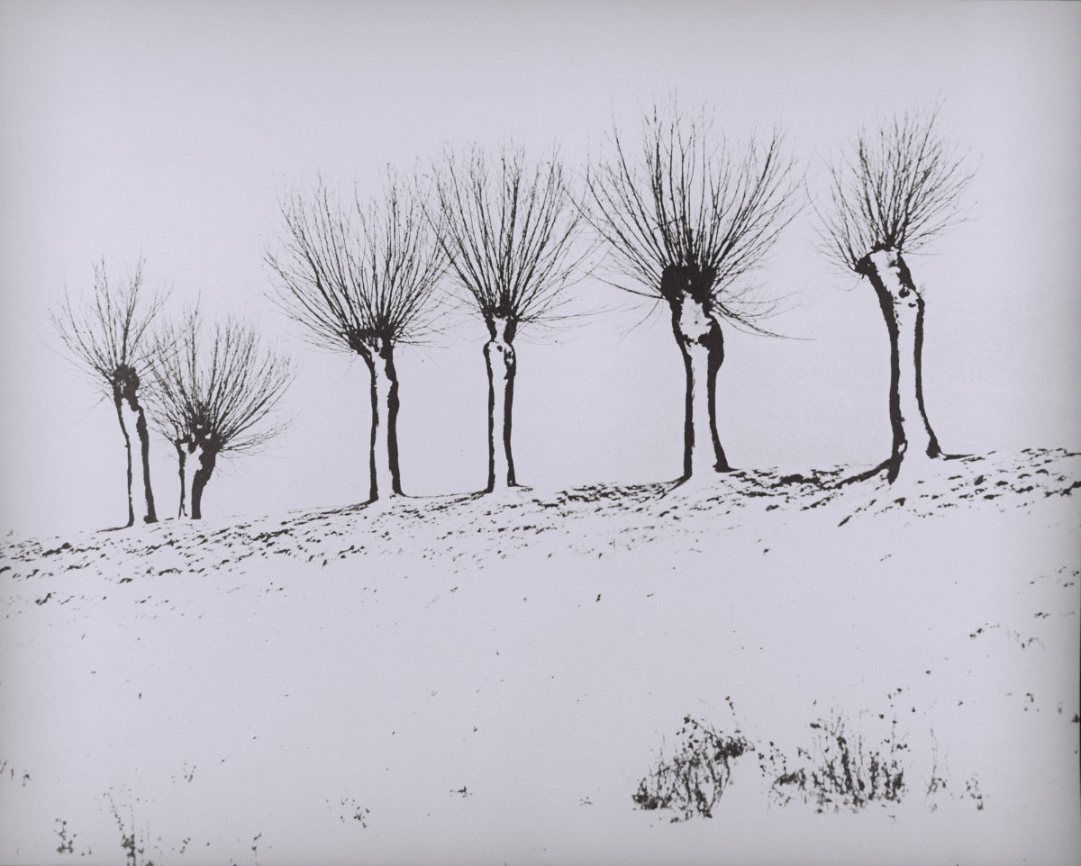 4104903c-114f-4542-b56f-22f0d8d9913a