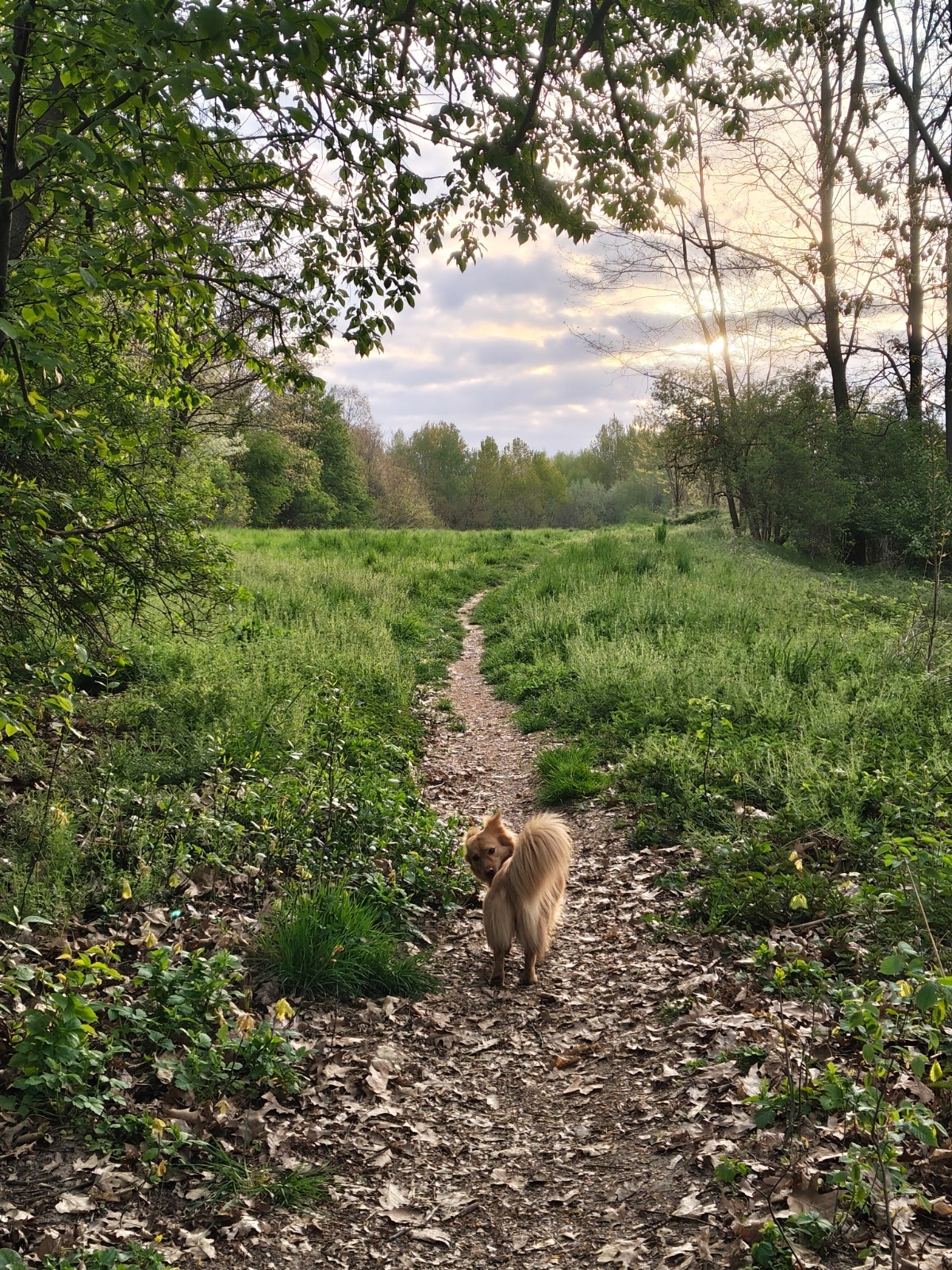 8c81e58a-d9a2-44a8-84ad-18bdf0f31185