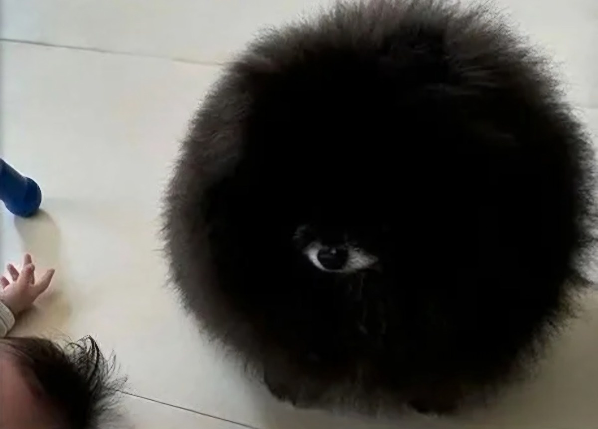 e7f8fd27-5b9d-481d-ba93-818ffe286925