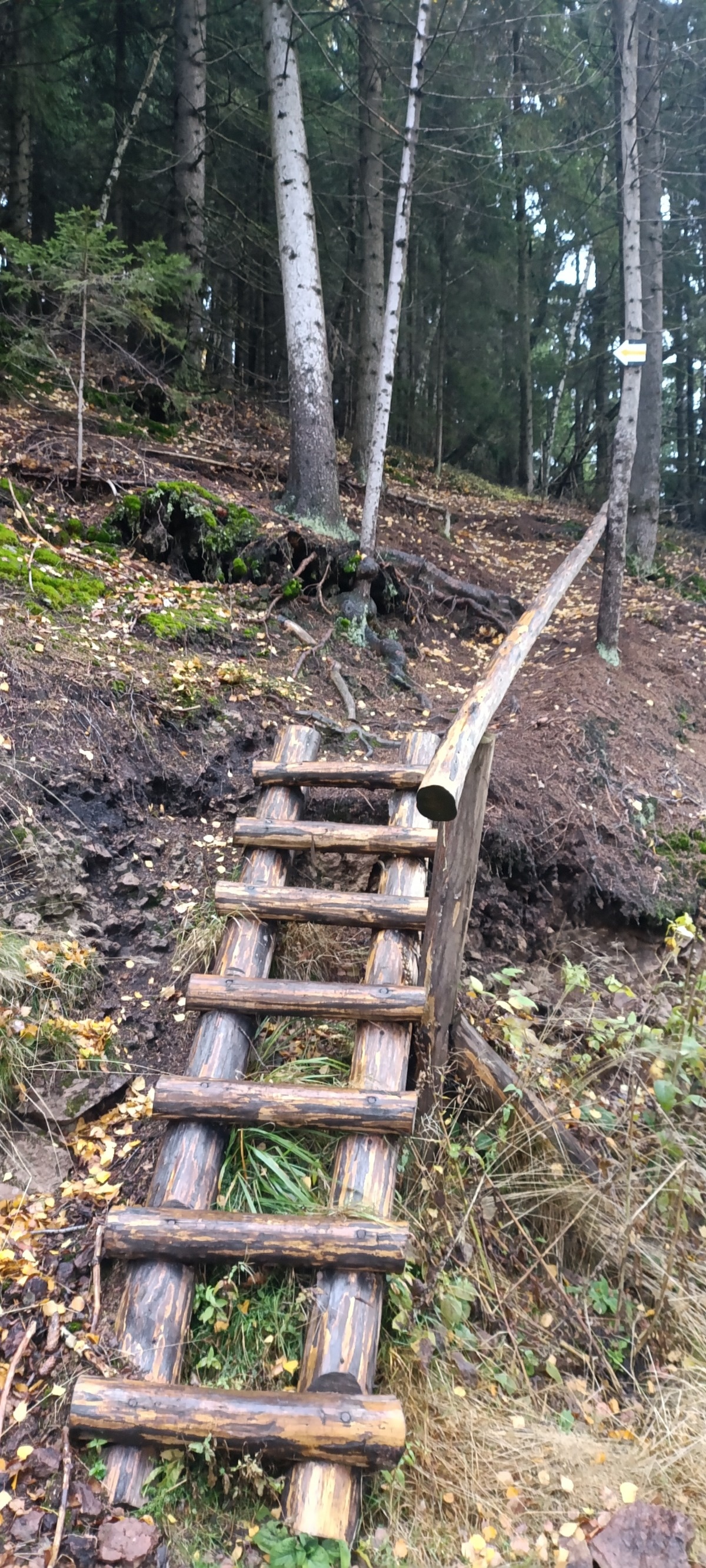 07aefc78-11e5-4152-a252-01915b250618