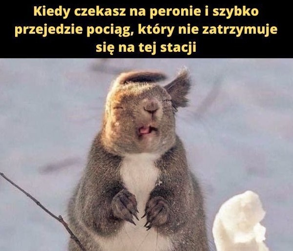 c90c883d-0270-4178-9e6d-eb89fe64190e