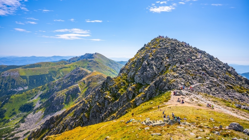 98842e48-415e-406a-8cac-118a4372c75e