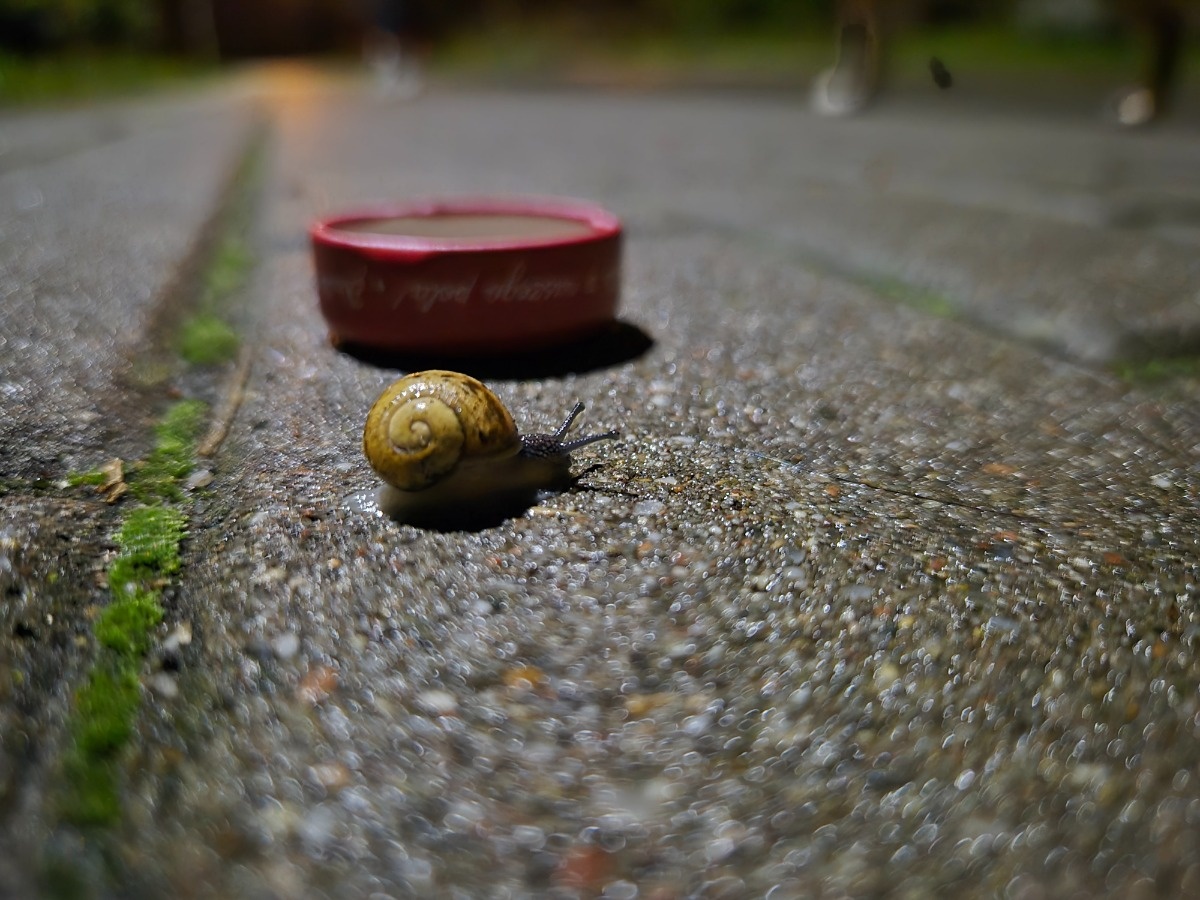 4b271c25-b541-4d42-b05d-0fff5158f89f