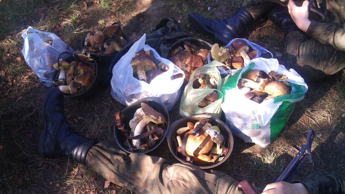 a73cad58-a516-41db-ac0c-95e2ac7847ea