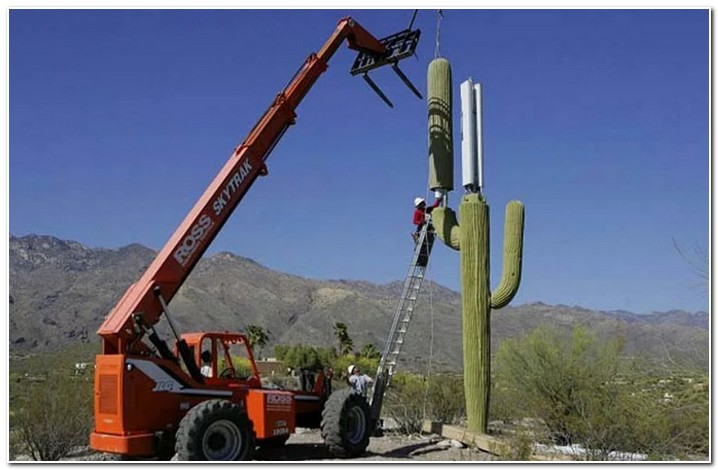 3a41cfd4-5a57-49d8-b0fc-c65068c0200a