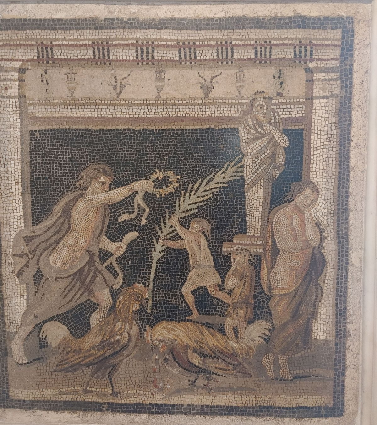 8d01d444-0e2d-44a6-a8ac-aeaac5f780b3