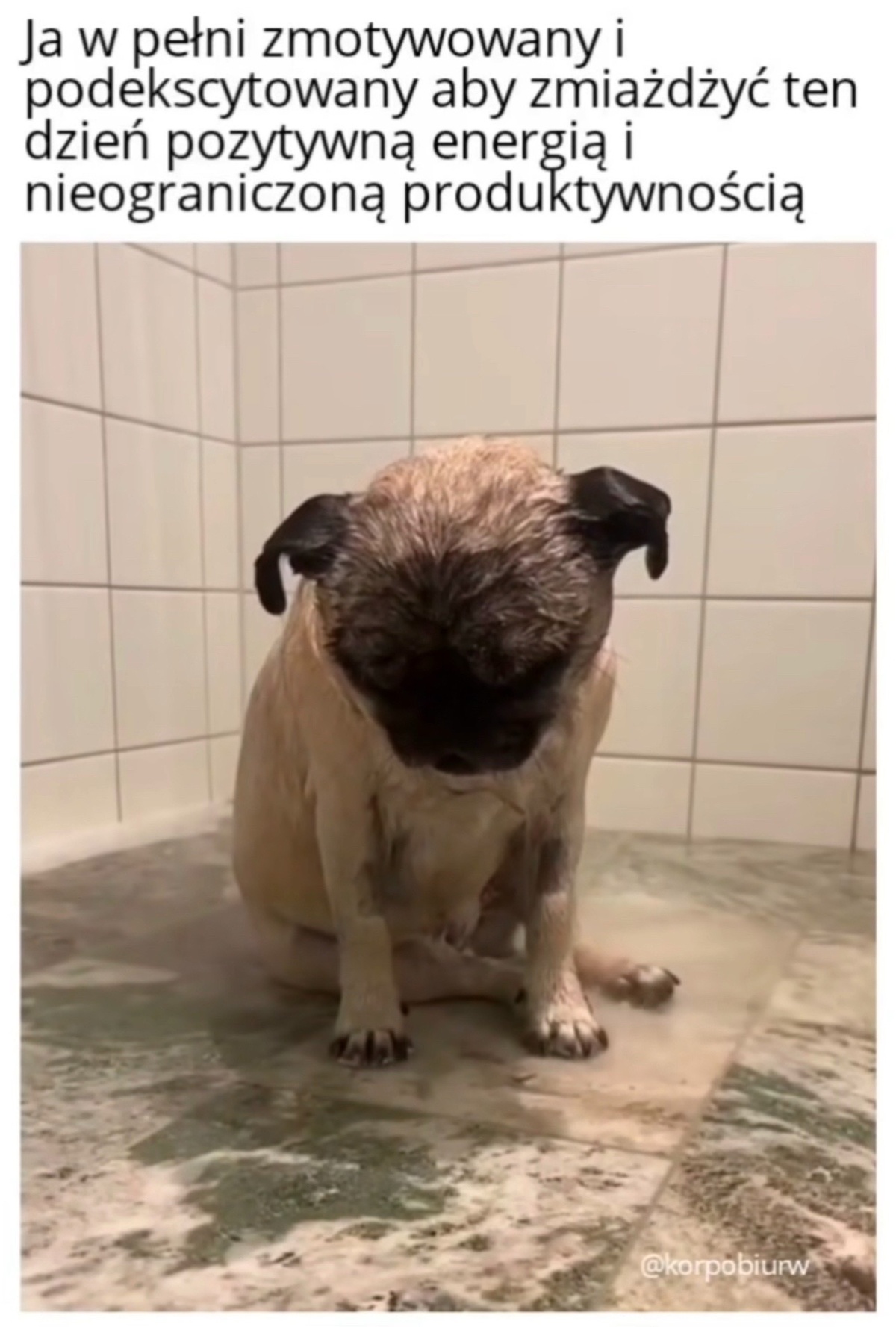 99fae75f-ce91-4e22-985f-64ded8790786